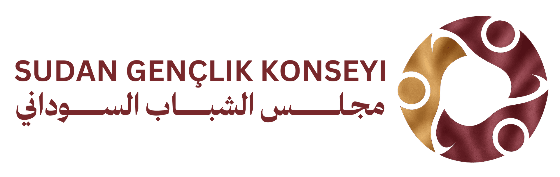 مجلس الشباب السوداني - تركيا